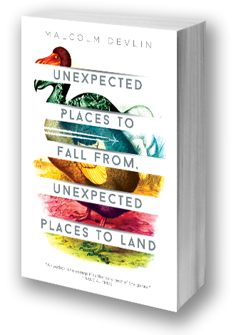 Unexpected Places to Fall From, Unexpected Places to Land by Malcolm Devlin